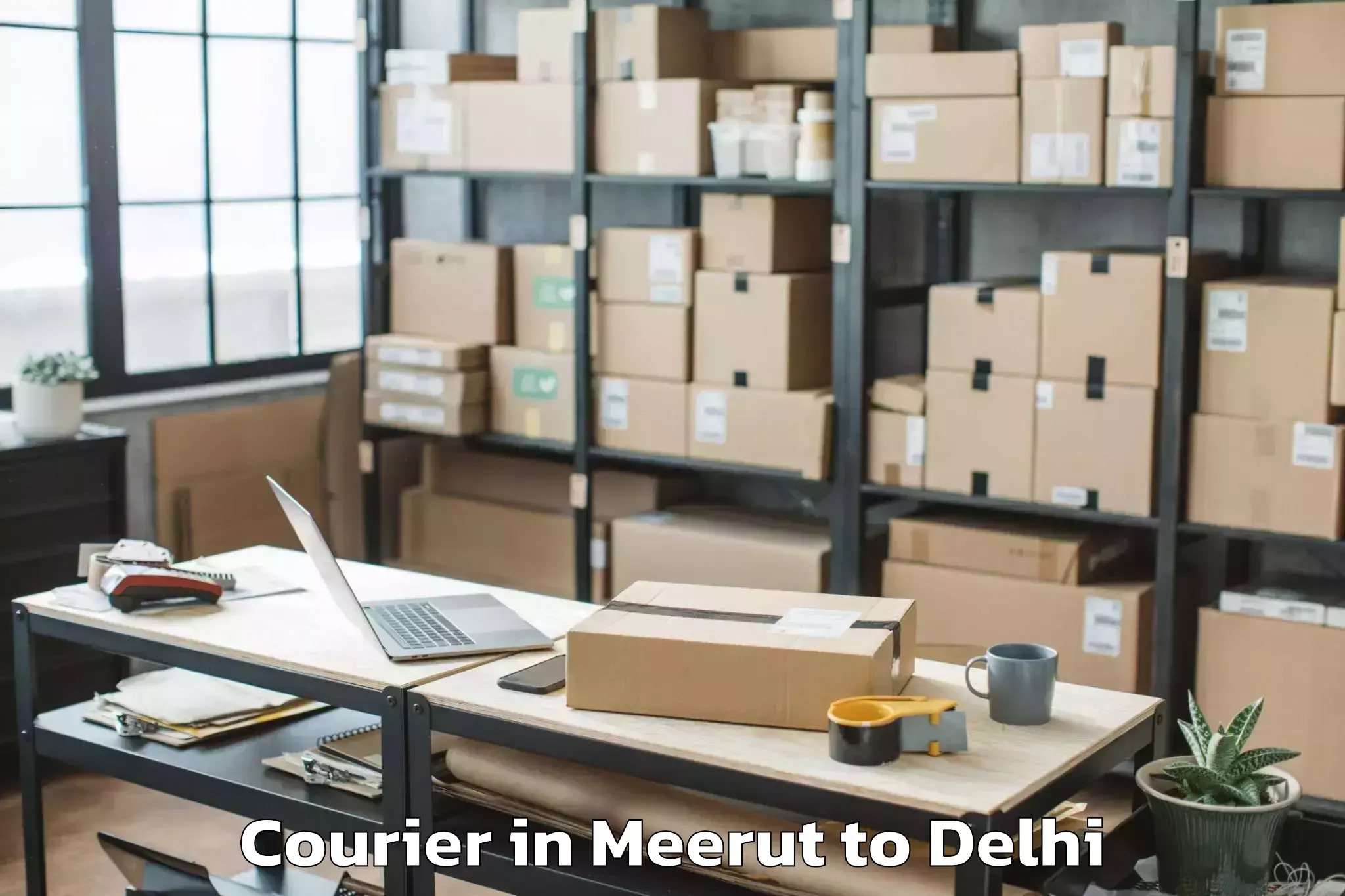 Easy Meerut to Darya Ganj Courier Booking